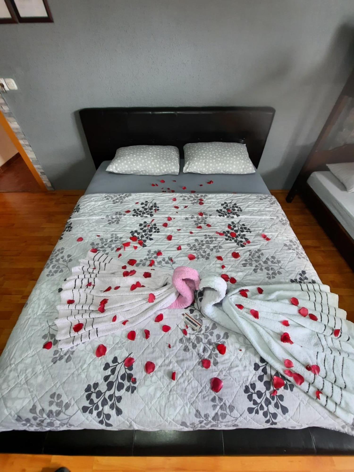 Apartment Jonoski Ochrid Pokoj fotografie